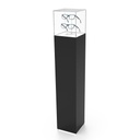 Pedestal, full corpus with acrylic box