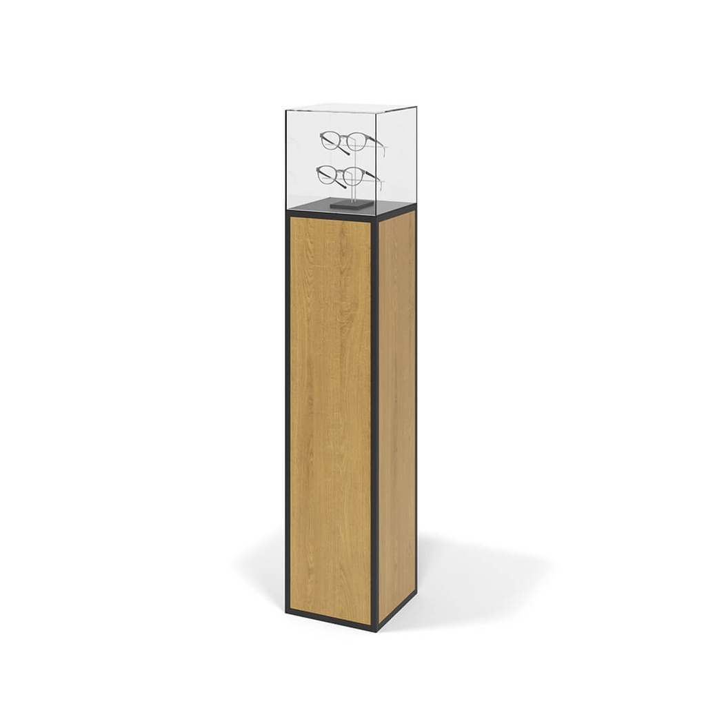 STK pedestal, full corpus with acrylic box