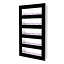 Showcase with 5 shelves