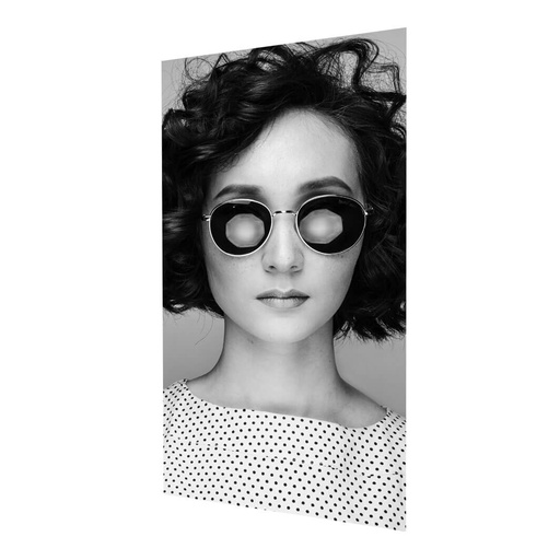 Plakat za LED reklamni panel, back-lit folija